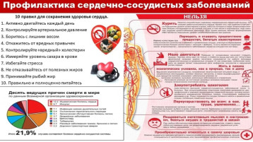 Профилактика сердечно-сосудистых заболеваний Профилактика сердечно-сосудистых заболеваний.