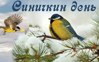 Синчкин день Синчкин день.