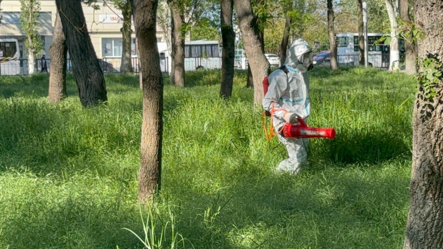 Информация для родителей Информация для родителей.